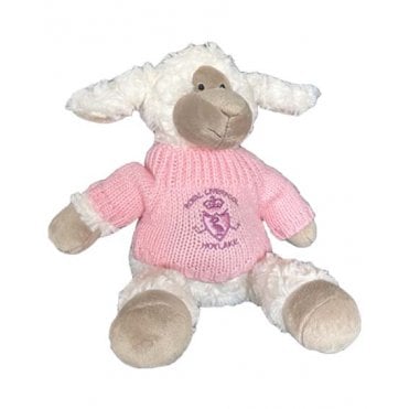 Sheep Soft Coy - Pink Jumper